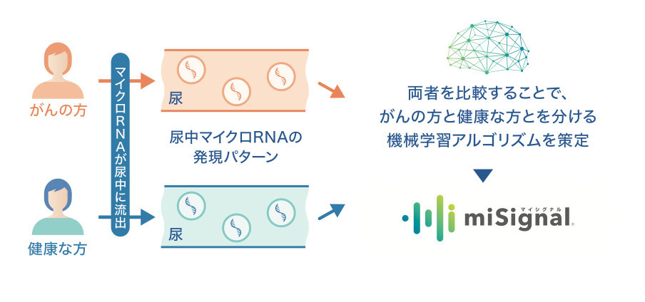 misgnalは尿中のマイクロRNAを利用した検査です